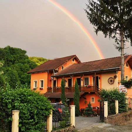 Pensiunea Ana Cristina Sighişoara Exterior foto